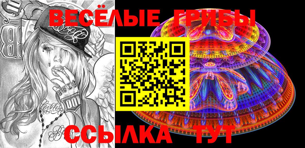 Тихвин  Псилоцибиновые грибы мицелий  Галлюциногенные грибы Psilocybine cubensis  Вход с VPN 